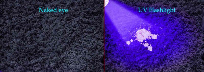 Black light comparison